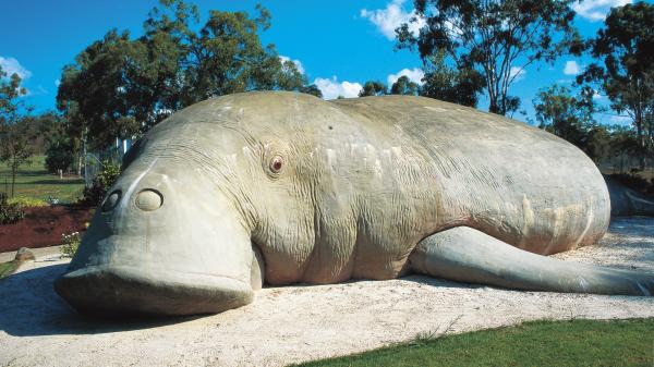 Dreamtime Cultural Centre, Rockhampton, QLD © Tourism and Events Queensland