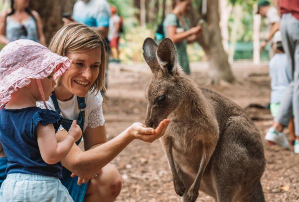 Australia Zoo, Sunshine Coast, QLD © Tourism and Events Queensland