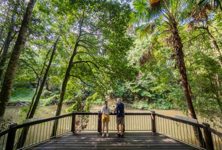 People standing by the river in the Eungella National Park © Tourism and Events Queensland