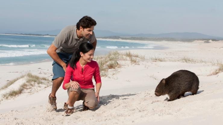 Binalong Bay, Bay of Fires Conservation Area, TAS © Tourism Australia