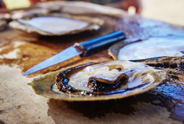 Cygnet Bay Pearl Farm, Dampier Peninsula, WA © Tourism Western Australia