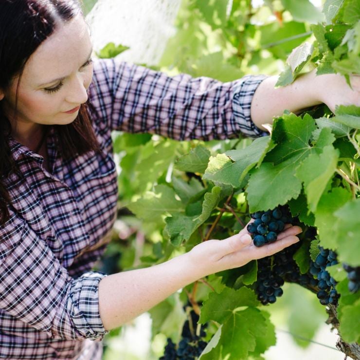 Stephanie checks the grapes at The Vintner’s Daughter, Murrumbateman, New South Wales © Stephanie Helm