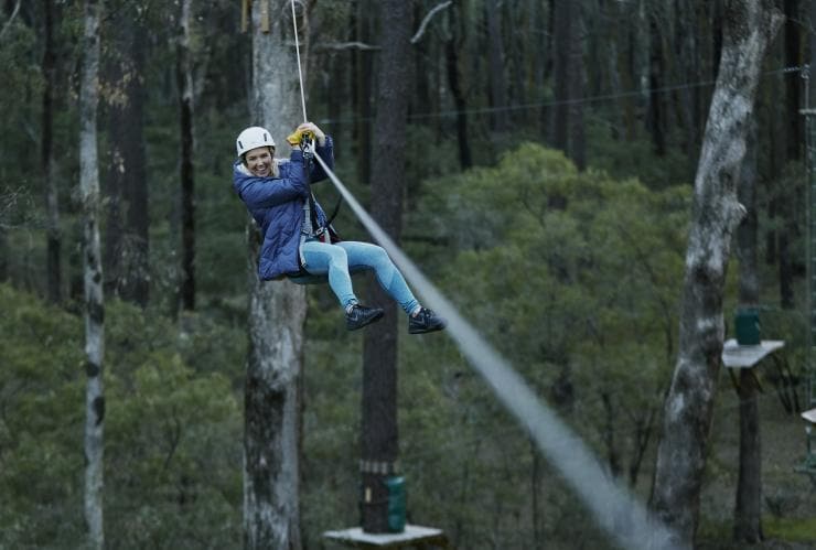 Forest Adventures, Margaret River region, WA © Tim Campbell