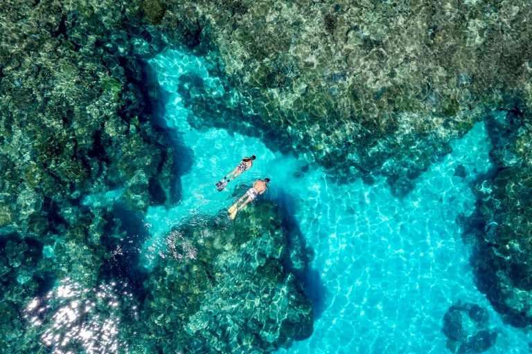Snorkelling with turtle at Ningaloo Reef, WA © Australia’s Coral Coast