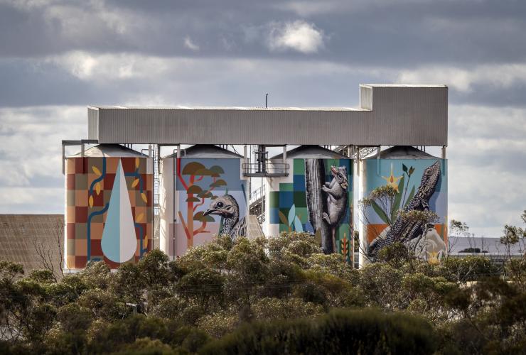 Painted grain silos on the PUBLIC Silo Trail in Newdegate © Bewley Shaylor