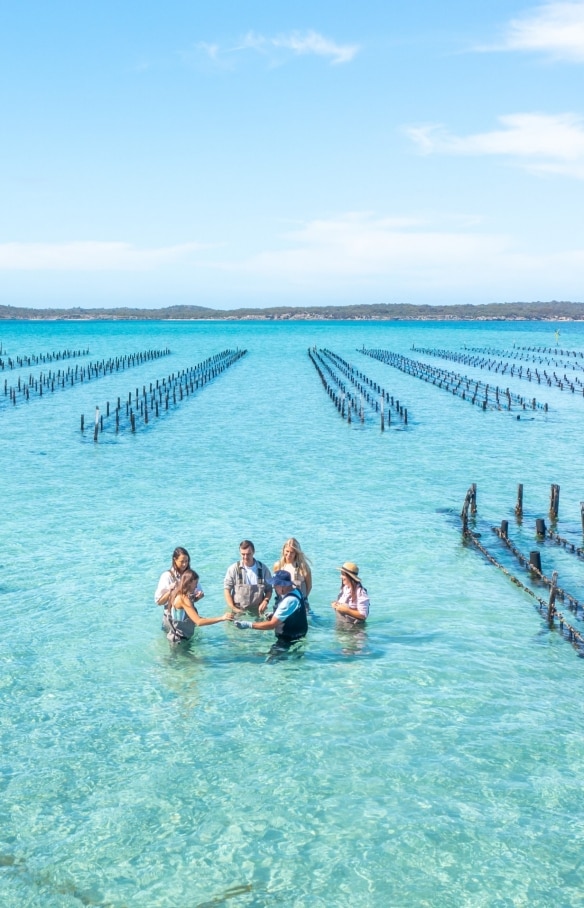 Experience Coffin Bay, Eyre Peninsula, South Australia © Tourism Australia