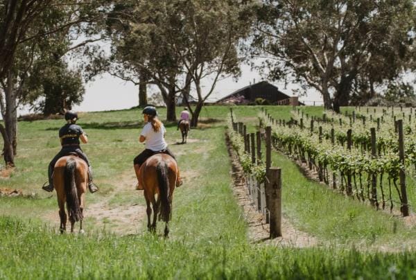 Three people riding horses through a lush green vineyard at Petaluma, Adelaide Hills, South Australia © Ultimate Winery Experiences Australia