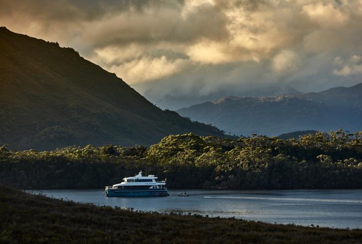 An On Board boat cruising through flat water surrounded by trees with a mountain in the background in Port Davey, Tasmania © On Board/Tim Grey