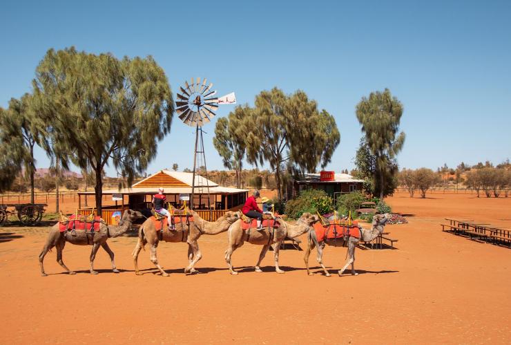 Uluru Camel Farm, Yulara, NT © Tourism Australia