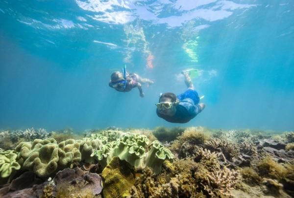 Snorkelling with Ocean Rafting in the Whitsundays, QLD © Tourism Australia