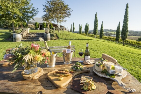 Picnic of wine and food set up on the lawn at Cupitt’s Winery © Destination NSW