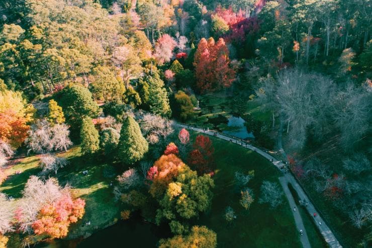 Mount Lofty Botanic Gardens, Adelaide Hills, South Australia © Sam Williams 