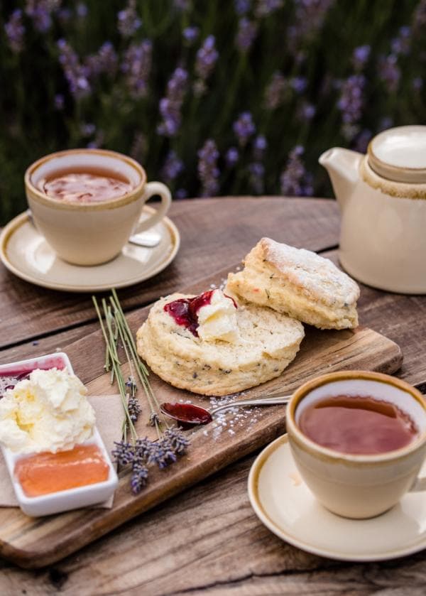 Emu Bay Lavender Farm, Kangaroo Island, SA © Meaghan Coles