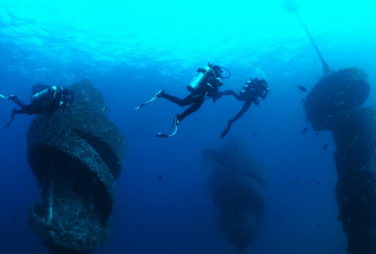 Divers at Wonder Reef © City of Gold Coast