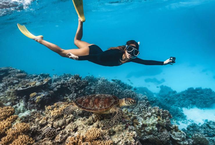 Snorkeller with turtle, Lady Musgrave Island, QLD © James Vodicka