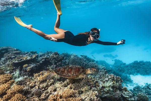 Snorkeller with turtle, Lady Musgrave Island, QLD © James Vodicka