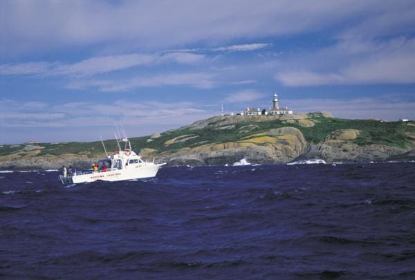 Chartered fishing boat in Montague Island Nature Reserve, South Coast, NSW © Destination NSW