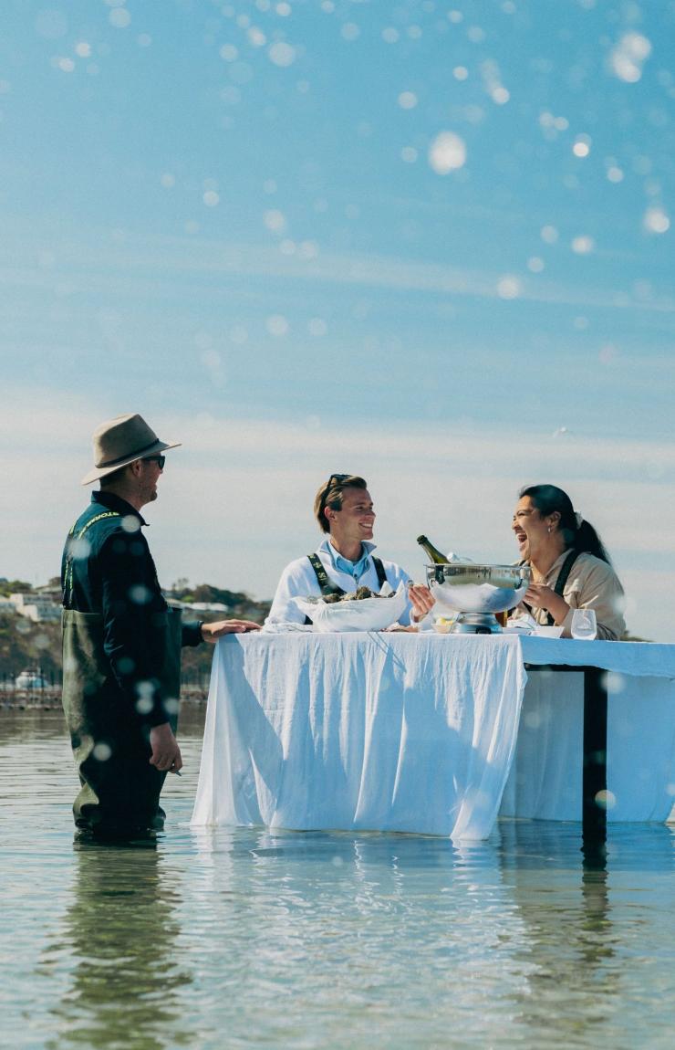 A white-clothed table is set up in shallow water during a Merimbula Oyster Tours experience in Merimbula, New South Wales, where guests laugh with oyster farmers under a clear blue sky as clear water splashes in the foreground. © Destination NSW