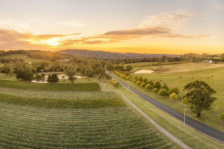 Centennial Vineyards, Bowral, Southern Highlands, NSW © Destination NSW