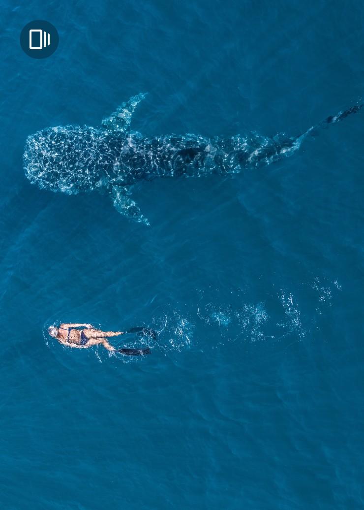 Ningaloo Reef, Coral Coast, Western Australia © Tourism Western Australia