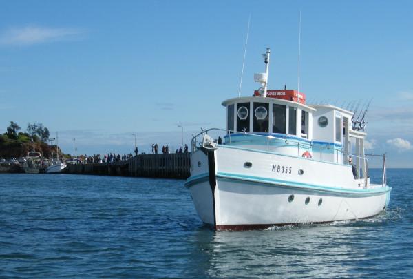 Bay Fish N Trips, Mornington, VIC © Bay Fish N Trips