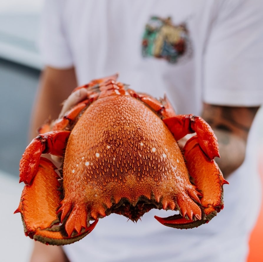 Man holding a freshly-caught spanner crab in Mooloolaba © Tourism and Events Queensland