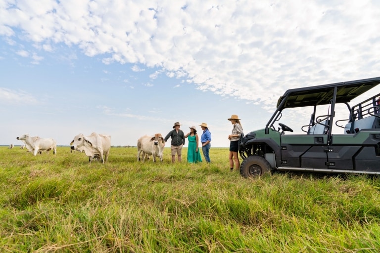 Guests standing with cows in a paddock at Finniss River Lodge, Rakula, Northern Territory © Tourism Australia