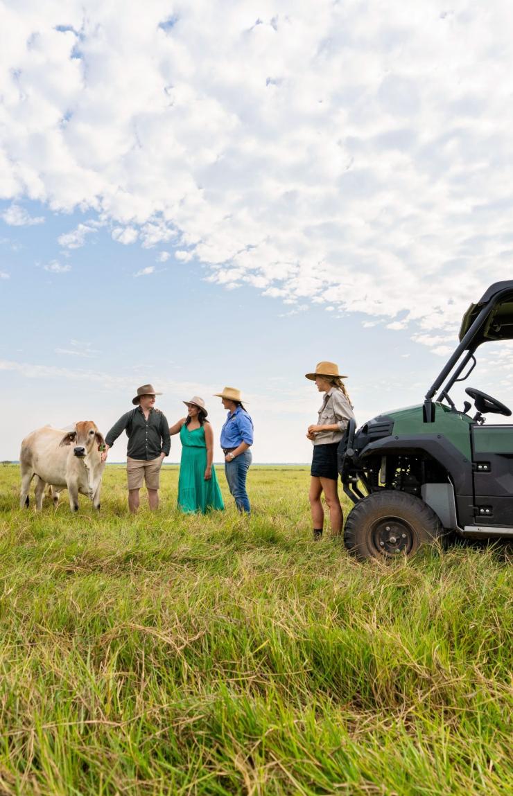 Guests standing with cows in a paddock at Finniss River Lodge, Rakula, Northern Territory © Tourism Australia