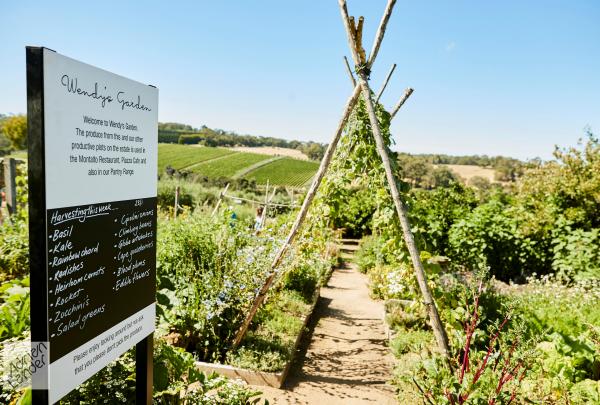 Montalto, Red Hill South, VIC © Adrian Brown