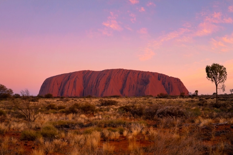 Uluru Astro Tours, Uluru, Northern Territory © Tourism NT/Tourism Australia