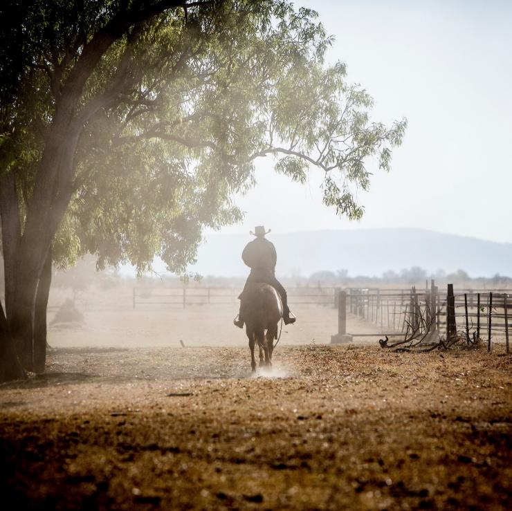 Man on a horse in the cattle yards at Bullo River Station in East Kimberley © Martine Perret