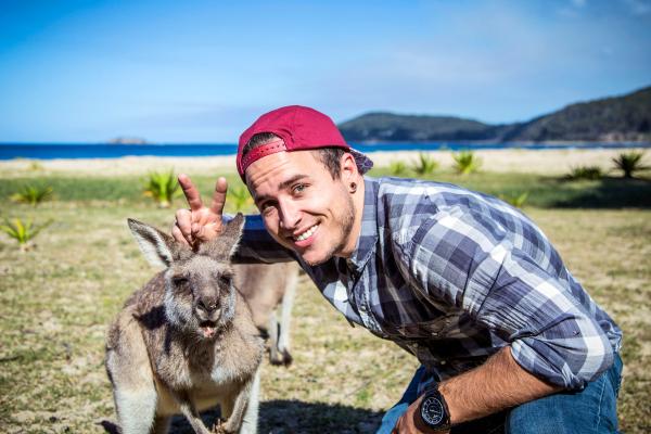 Kangaroo, Pebbly Beach, NSW © Tourism Australia 