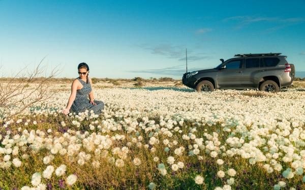 Wildflowers on Wooleen Station, WA © Tourism Western Australia