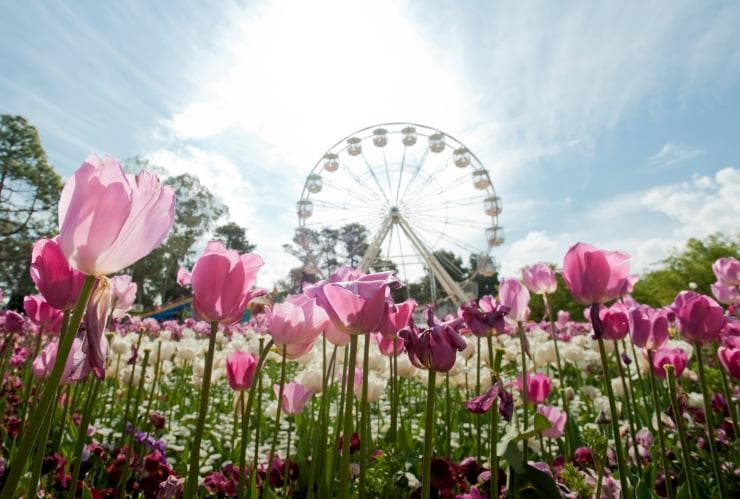 Floriade, Canberra, ACT © Visit Canberra