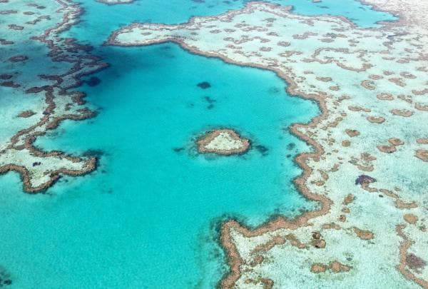 Heart Reef, Great Barrier Reef, QLD © Tourism Australia