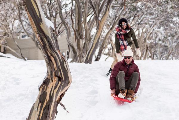 Tobogganing at Mount Hotham, VIC © Tourism Australia