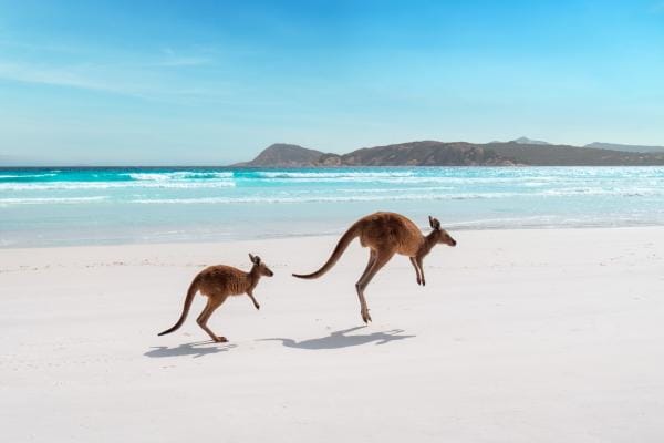 Lucky Bay, Cape Le Grand National Park, Western Australia ©  Tourism Western Australia