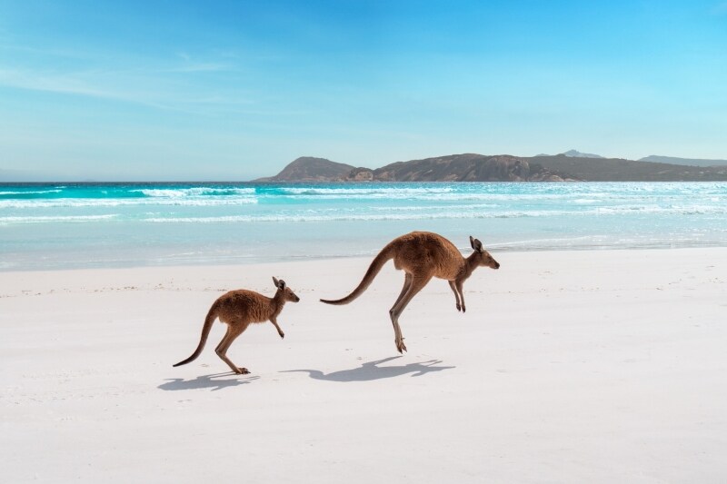 Best Natural Wonders Of Australia Tourism Australia Best Natural Wonders Of Australia Tourism Australia