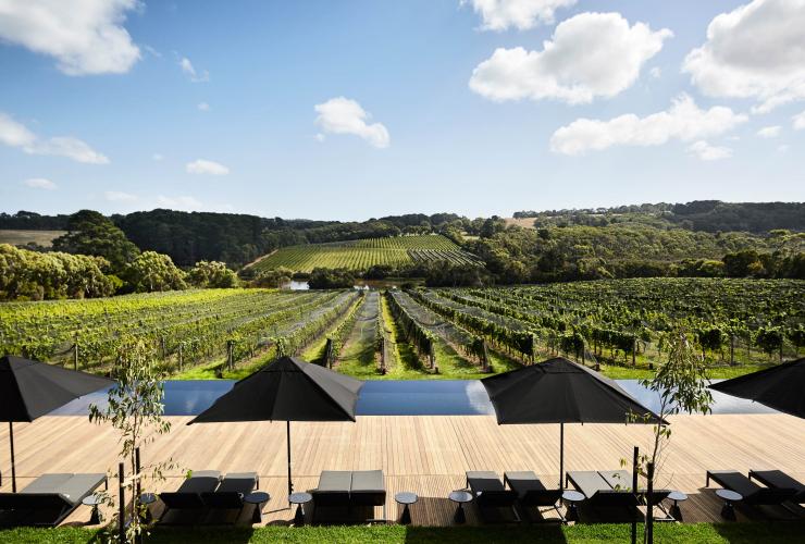 A rolling green vineyard with grapevines at Jackalope Hotel on the Mornington Peninsula, Victoria ©  Jackalope Hotel