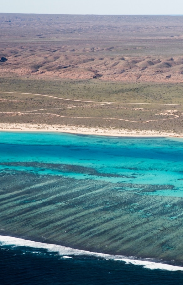 Ningaloo reef, Western Australia © Tourism Western Australia