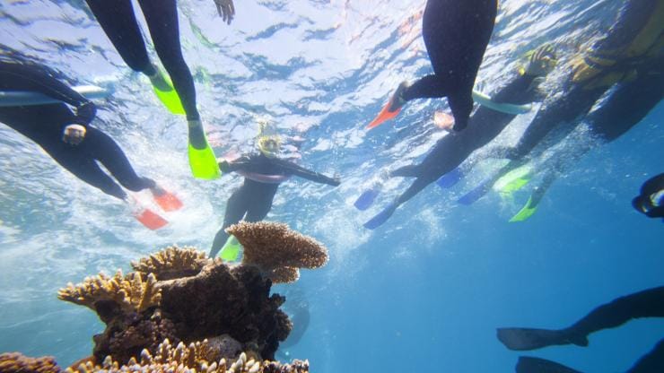Snorkelling on the Great Barrier Reef, near Cairns, QLD © Tourism and Events Queensland
