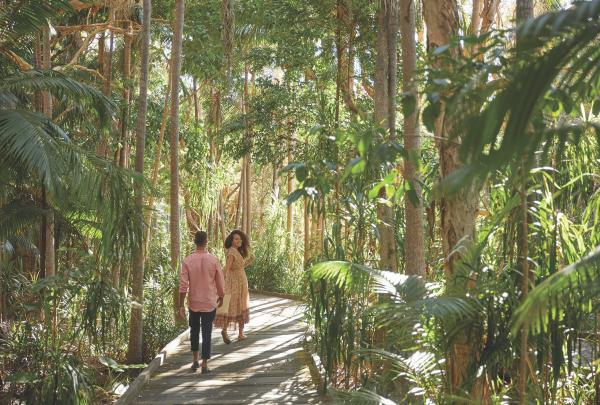 Rainforest walk at Crystalbrook Byron in Byron Bay © Crystalbrook Byron