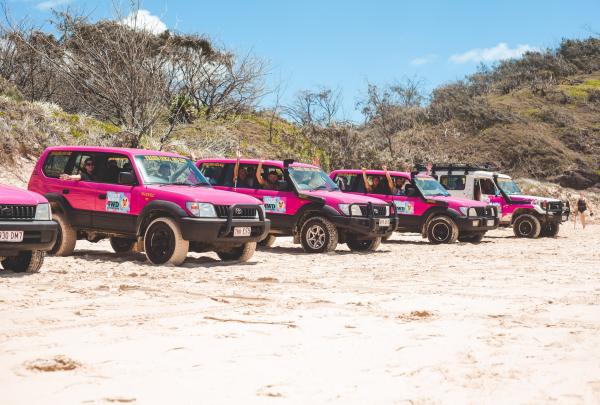 Fraser Dingo 4WD Hire, K'gari, QLD © Fraser Dingo 4WD Hire
