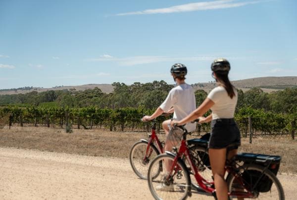 A couple riding bikes through the vineyards along the Riesling Trail, Clare Valley, South Australia ©  South Australian Tourism Commission
