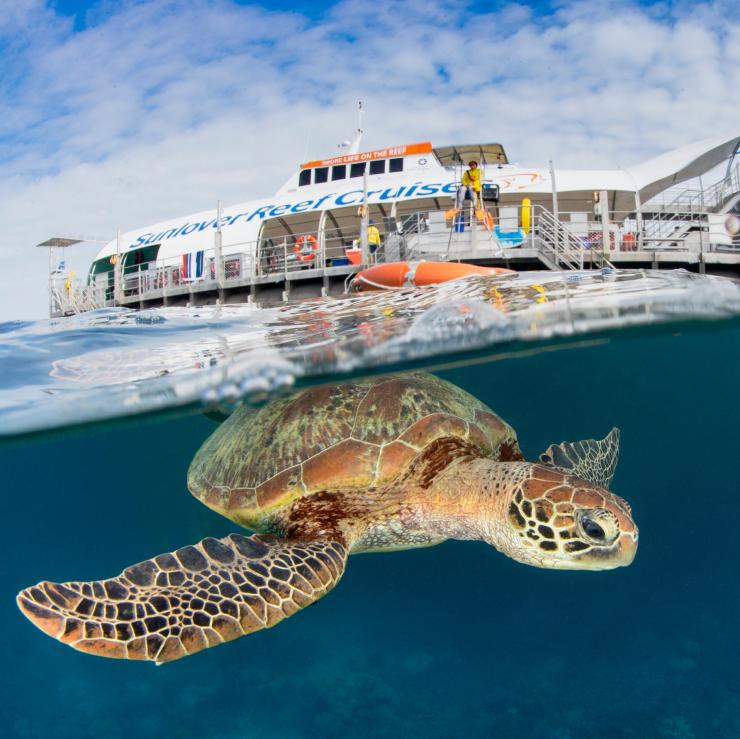 Sunlover Reef Cruises pontoon, Great Barrier Reef, Queensland © Tourism & Events Queensland