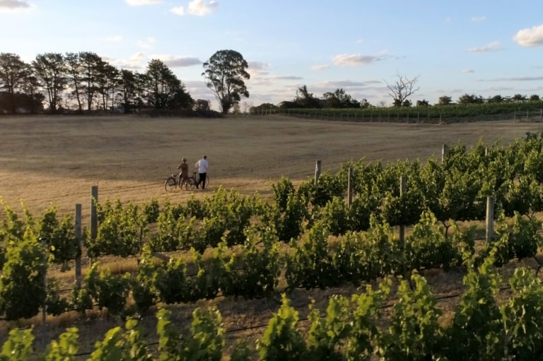  A couple of people take a walk with their bikes alongside Clonakilla vineyard, Murrumbateman, New South Wales © Destination NSW