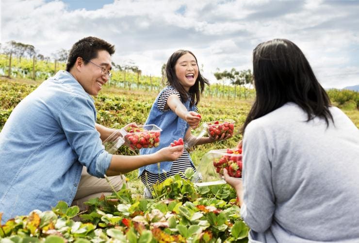 Family at Coal River Farm in Cambridge, Tasmania © Tourism Tasmania