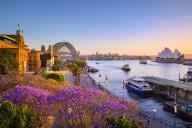 Jacarandas and Sydney Harbour at sunset, Sydney, NSW © Destination NSW