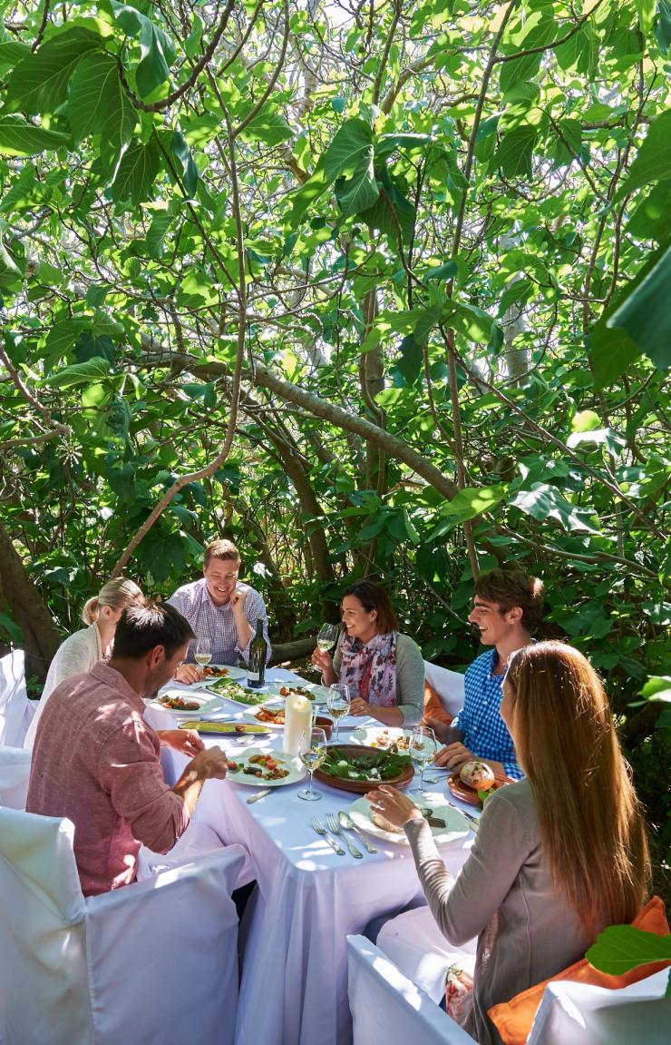 A group of people dining among the lush green leaves of the Enchanted Fig Tree, Hannaford and Sachs. Kangaroo Island, South Australia © Adam Bruzzone 