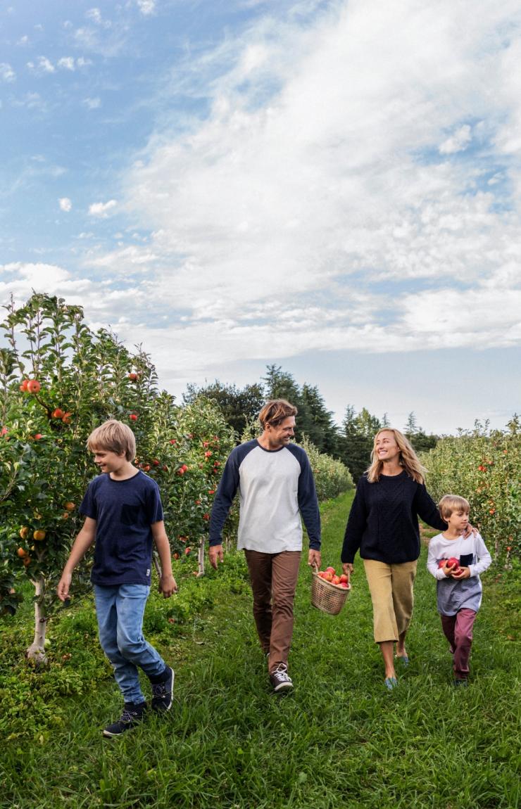 Family enjoying a day of apple picking at Shields Orchard in Bilpin  © Destination NSW